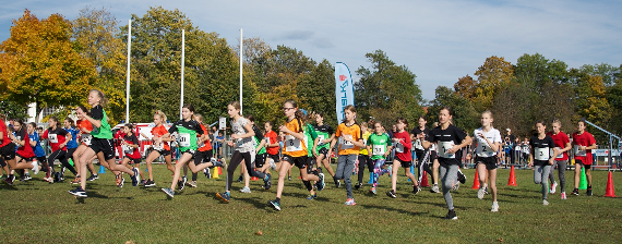 Landesmeisterschaft Cross Country